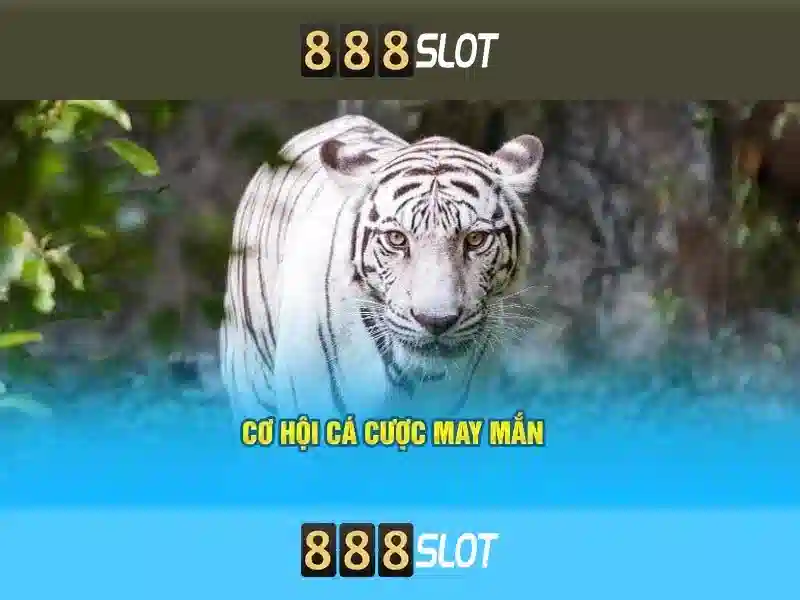Hỗ trợ khách hàng và dịch vụ