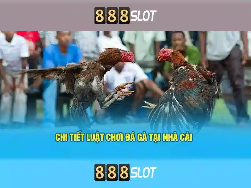 Danh mục trò chơi và khe cắm