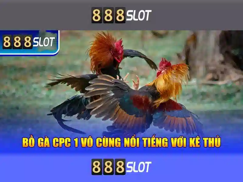 Ưu đãi và thanh toán