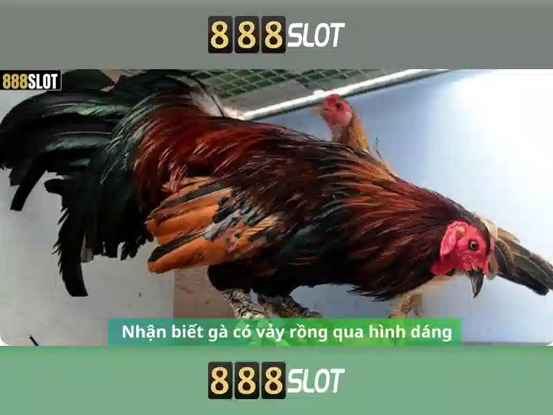 888slot - Trang slot trực tuyến hàng đầu tại Việt Nam