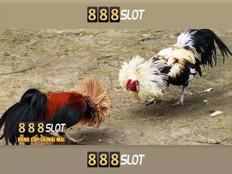 Gioi thieu ve 888slot