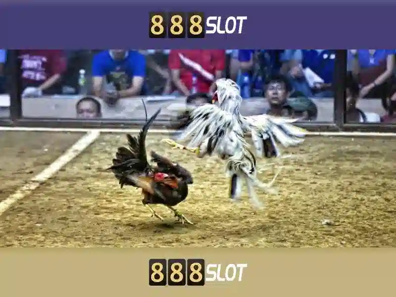 Các tính năng nổi bật của 888slot