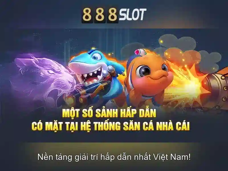 Đánh giá người dùng và hỗ trợ