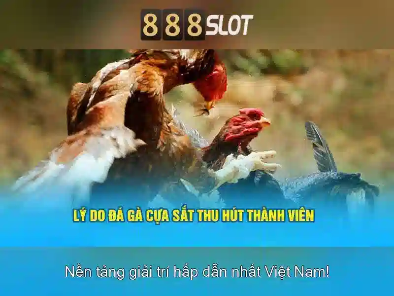 Giới thiệu về 888slot