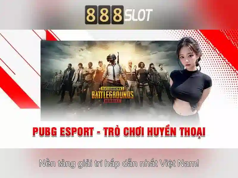 An toàn và giấy phép