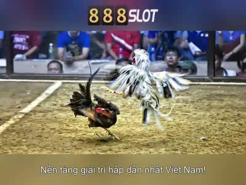 Giới thiệu về 888slot