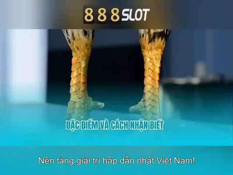 An toàn và bảo mật