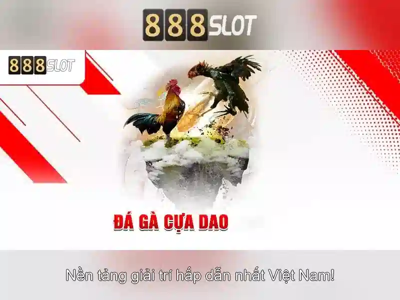 Khuyến mãi và chương trình khách hàng thân thiết