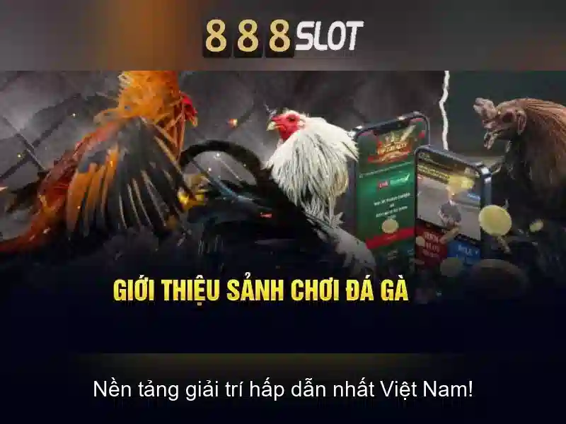 Thông tin cho người chơi tại Việt Nam