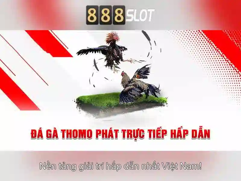 Trải nghiệm người dùng và thanh toán