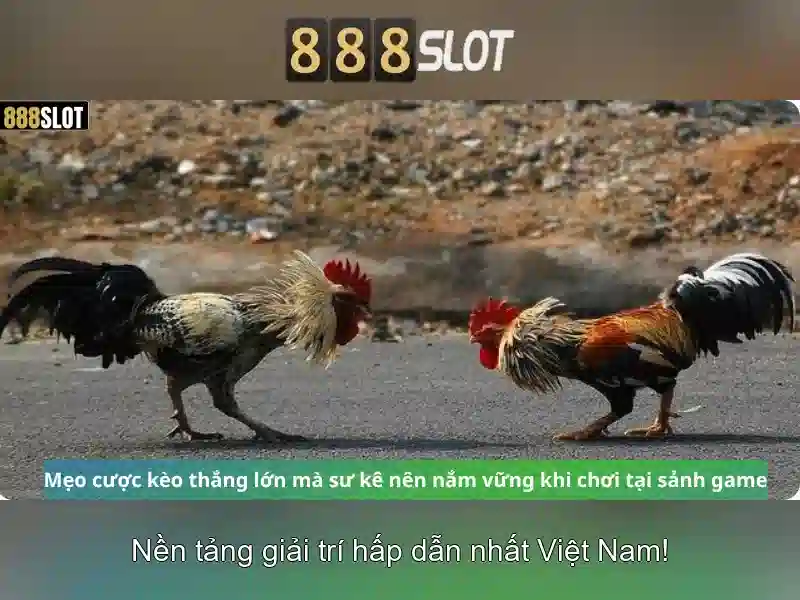 Cách chơi và trả thưởng