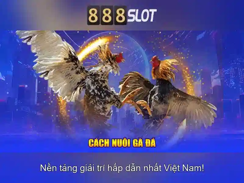 Tính năng nổi bật